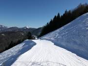 Easy family run down to the valley