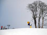 Since 2005, Altastenberg has had a large snowmaking system.