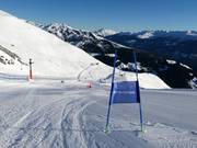 Racing Paradise Unterberg