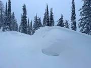 Enough natural snow in the Whitewater ski area
