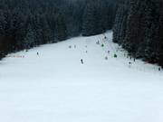 Intermediate slopes at Muli 2