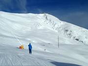 View of the powder slopes at Lavey