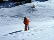 Permanently installed snow cannon