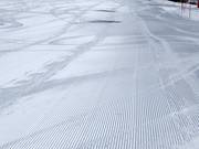 Perfectly groomed slope at Col Rodella