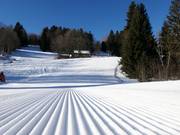 Very good slope grooming