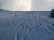 Tracks in the powder snow