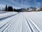 Trails at the Sun Valley Nordic Center