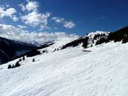 Plenty of open ski terrain between Wurzhöhe and Bärenbadkogel