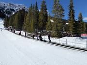 Conveyor belt for first attempts