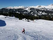 Practice slope with Kapell platter lift