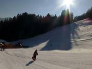 Gently sloping terrain