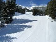 Groomed slope in the Castle Mountain ski area