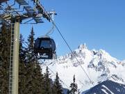 Papagenobahn with Bischofsmütze