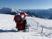 Snow cannon in the ski area