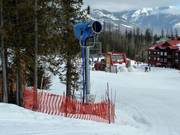 Snow cannon at Lower Mountain