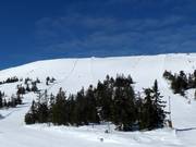 View of slopes no. 1 and no. 5 at Skihytta Ekspress