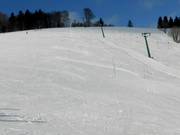 Slalom course at the Bucklift