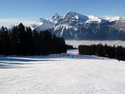 Wide slope in Les Carroz