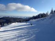 Easy Hallerhausabfahrt No. 6