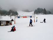 View of the Steckenberg piste