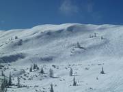 Open ski area at Star Jet 3