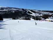 Easy slope Nybegynnerbakken