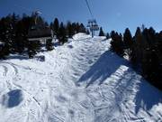 Ski route Adrenalin below the Turrachbahn