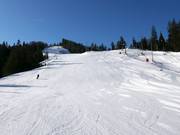 FIS downhill