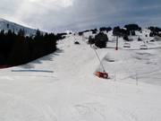 Coq Bruyère downhill run