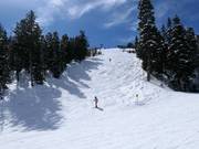 Steep slope at the Mountaineer Express