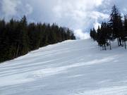 Bronco's Pitch slope