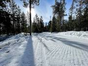Trail in the Sawtooth National Recreation Area