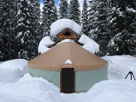 The Yurt at Solitude