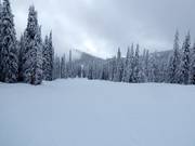 Very easy slope in Red Mountain Resort