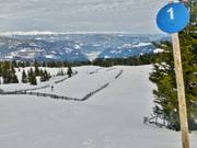 Blue Outer Family Run at the Zirbenlifts