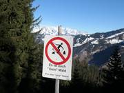 It is also "your" forest