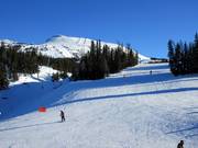 Downhill No. 27 World Cup Downhill