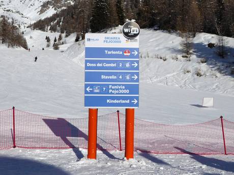 Ortler Alps: orientation within ski resorts – Orientation Pejo 3000