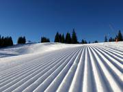 Very good slope grooming