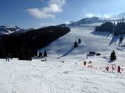 View of the wide slopes at Mittleres Sudelfeld