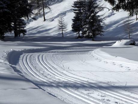 Cross-country skiing Stubai – Cross-country skiing Schlick 2000 – Fulpmes