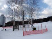 Snow lance in Furano
