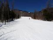 Wide forest clearing run