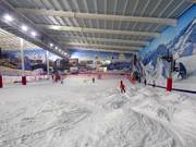 View of the main slope in the lower section