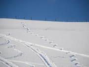 That adds up to about 20 turns.