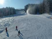 Descent at the Einhornbahn II