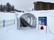 Conveyor belt Huckleberry