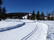 Trail on the Hochrindl