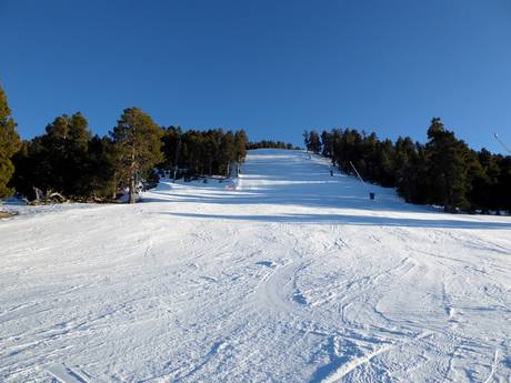 Ski resorts for advanced skiers and freeriding Eastern Spain – Advanced skiers, freeriders La Molina/Masella – Alp2500