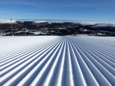Slope preparation Central Sweden – Slope preparation Tandådalen/Hundfjället (Sälen)